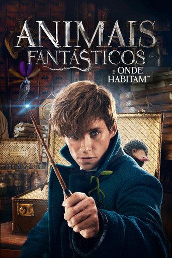 Assistir Animais Fantásticos e Onde Habitam online dublado e legendado
