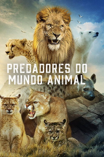 Poster de Predadores do Mundo Animal
