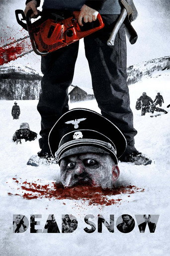 Poster de Zumbis na Neve