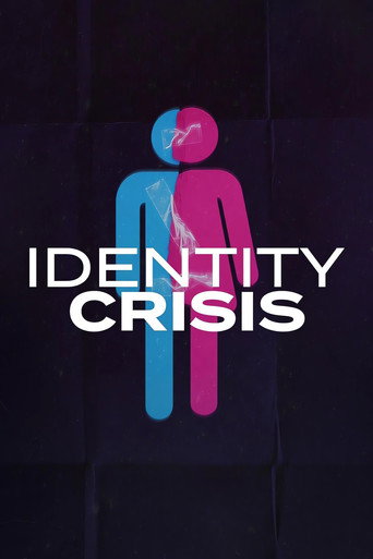 Assistir Identity Crisis online dublado e legendado