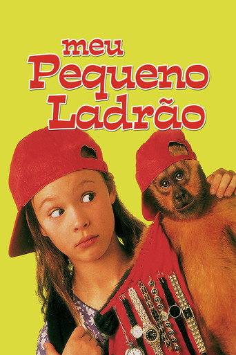 Assistir Meu Pequeno Ladrão online dublado e legendado