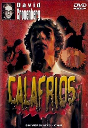Poster de Calafrios