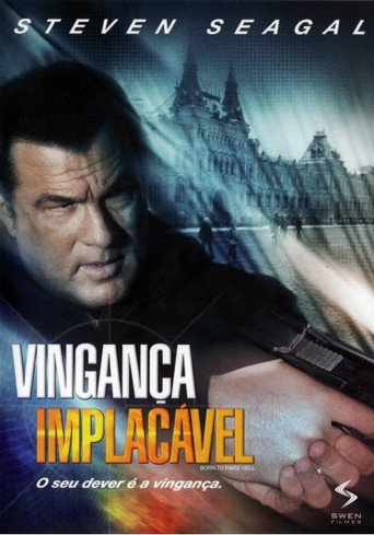 Assistir Vingança Implacável online dublado e legendado