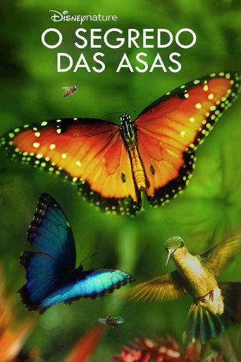 Poster de Asas da Vida