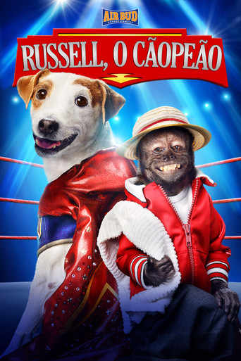 Assistir Russell, O Cãopeão online dublado e legendado