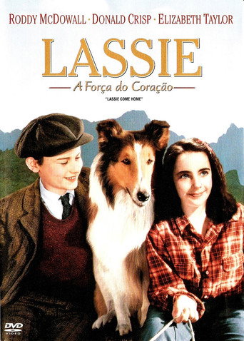 Assistir Lassie: A Força do Coração online dublado e legendado