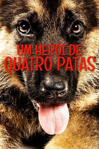 Assistir Um Herói de Quatro Patas online dublado e legendado