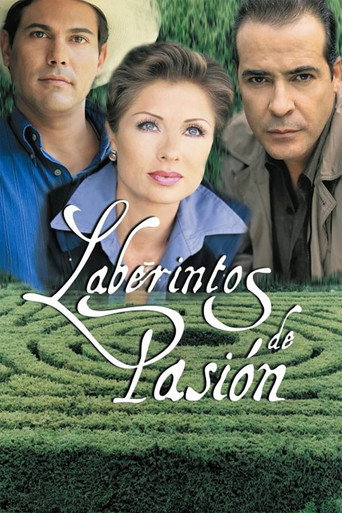 Poster de Labyrinth of Passion