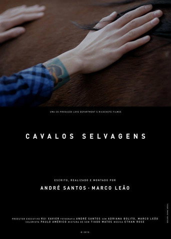 Assistir Cavalos Selvagens online dublado e legendado