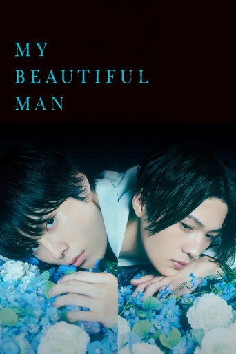 Poster de Meu Belo Homem