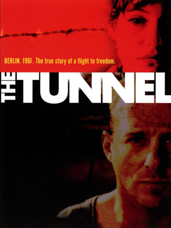 Poster de O Túnel