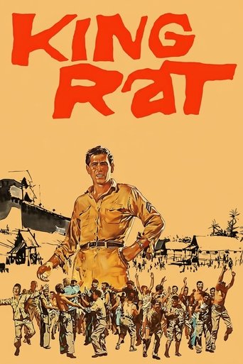 Poster de King Rat