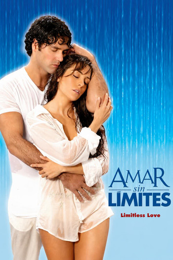 Poster de Amar sin límites