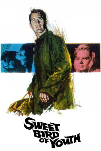Poster de Doce Pássaro da Juventude
