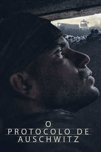 Assistir O Protocolo de Auschwitz online dublado e legendado