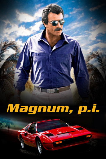 Assistir Magnum online dublado e legendado
