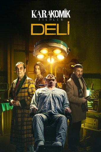 Assistir Karakomik Filmler 2: Deli online dublado e legendado