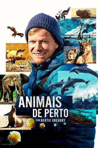 Assistir Animais de Perto com Bertie Gregory online dublado e legendado