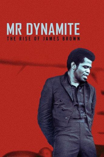 Poster de Mr. Dynamite: The Rise of James Brown