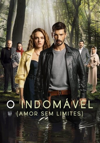 Poster de Amor Sem Limites
