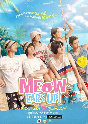 Assistir Meow: Orelhas para Cima! online dublado e legendado