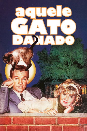 Assistir Aquele Gato Danado online dublado e legendado