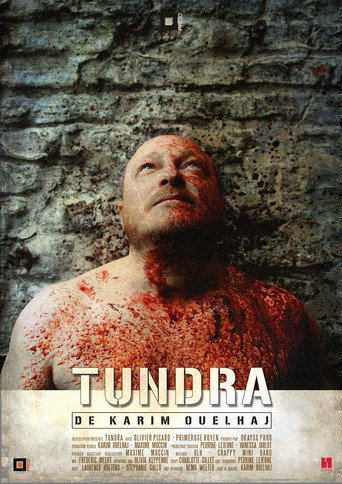 Assistir Tundra online dublado e legendado