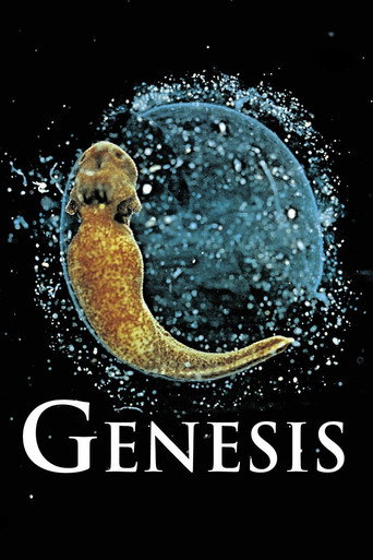 Assistir Gênese online dublado e legendado