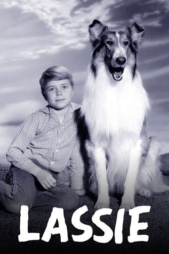 Poster de Lassie