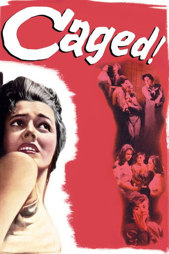 Poster de À Margem da Vida