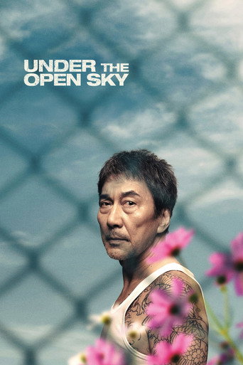Poster de Sob o Céu Aberto