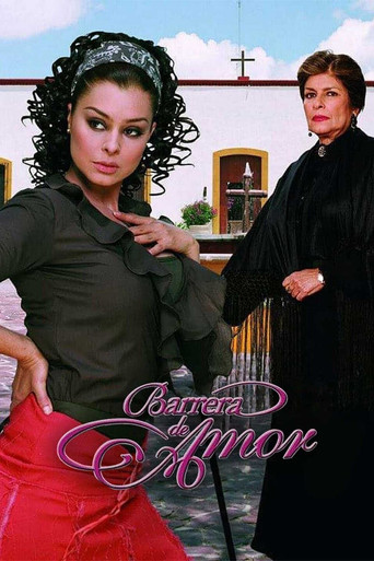 Poster de Barrera de amor
