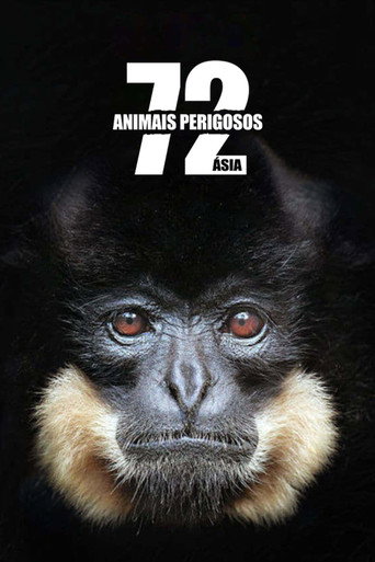 Poster de 72 Animais Perigosos: Ásia