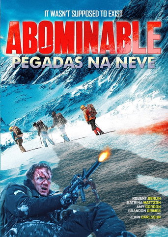 Assistir Pegadas na Neve online dublado e legendado