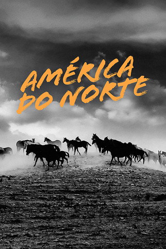 Assistir América do Norte online dublado e legendado