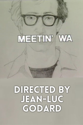 Poster de Encontrando Woody Allen