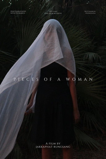Assistir Pieces of a woman online dublado e legendado