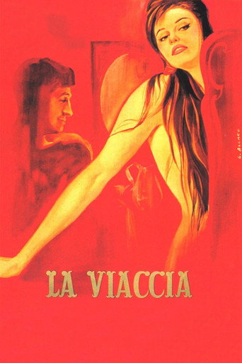Poster de Caminho Amargo