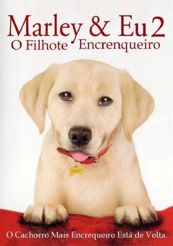 Assistir Marley & Eu 2 - Filhote Encrenqueiro online dublado e legendado