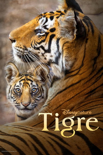 Assistir Tigre online dublado e legendado