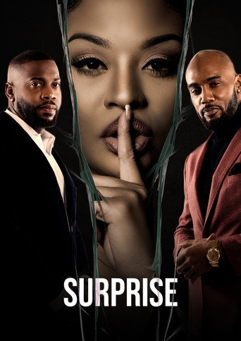 Assistir Surprise online dublado e legendado
