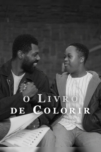 Assistir O Livro de Colorir online dublado e legendado