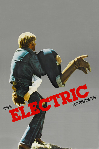 Poster de O Cavaleiro Elétrico