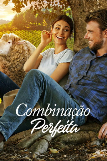 Poster de Combinação Perfeita