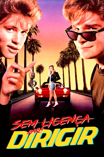 Assistir Sem Licença para Dirigir online dublado e legendado
