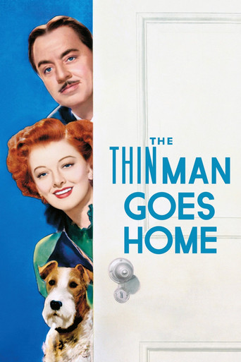 Poster de O Regresso Daquele Homem