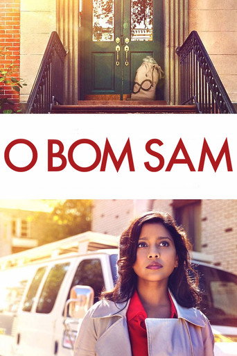Assistir O Bom Sam online dublado e legendado