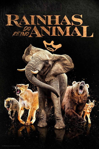 Assistir Rainhas do Reino Animal online dublado e legendado