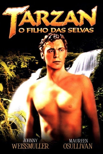 Poster de Tarzan - O Filho das Selvas