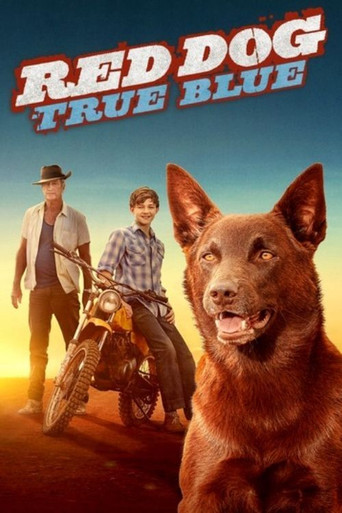 Poster de Cão Vermelho: True Blue